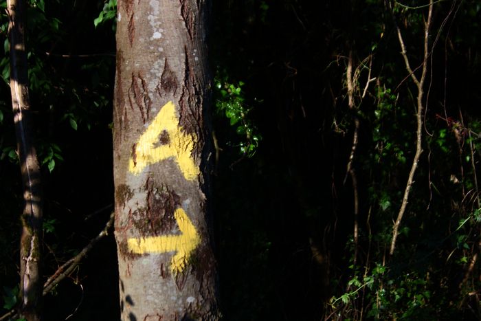 camino_norte_albergue