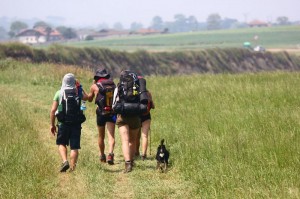 Camino Norte Santander