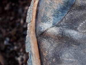 iran_zagros_buty