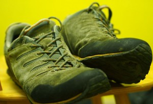 iran_zagros_buty