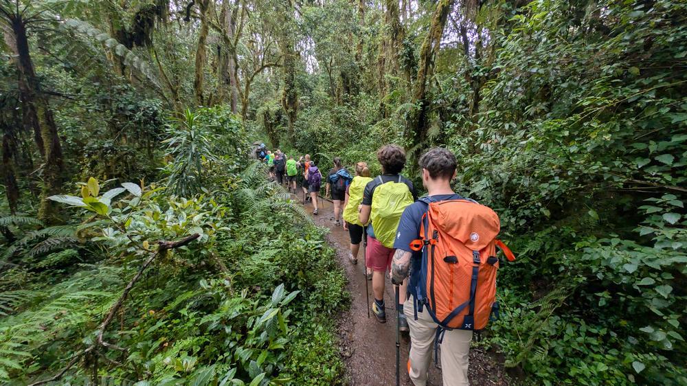 wyprawa kilimandzaro przewodnik droga machame