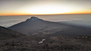 wyprawa kilimandzaro przewodnik droga machame