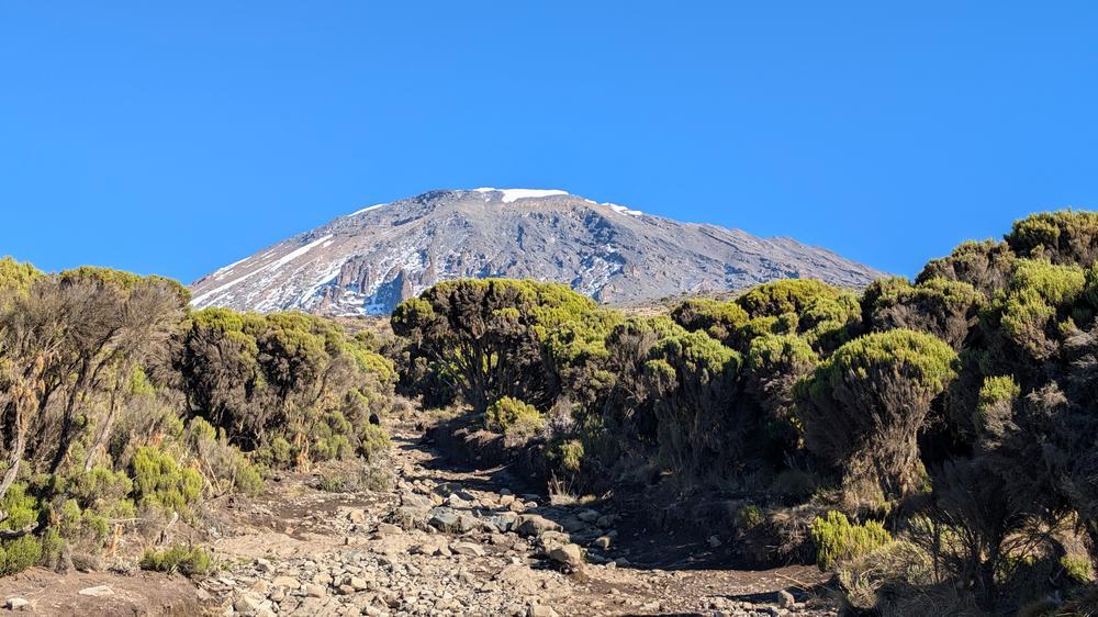 wyprawa kilimandzaro millenium camp mweka